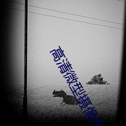 米乐M6·(中国)官方网站