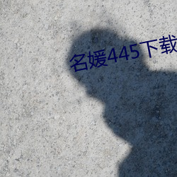 名媛445下载