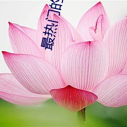 最热门的直播软件