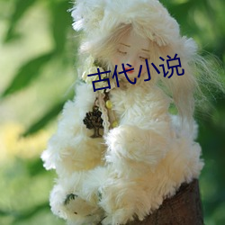 ca88手机客户端(安卓/苹果)CA88会员登录入口