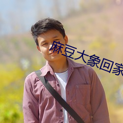 麻豆大象回家导(dǎo)航