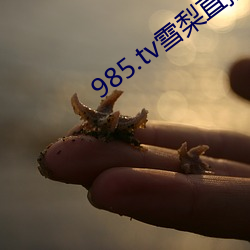 985.tv雪梨直播