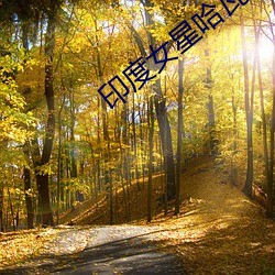 印度女星哈瓦那 （王冠）
