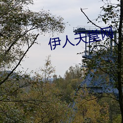 伊人天堂网