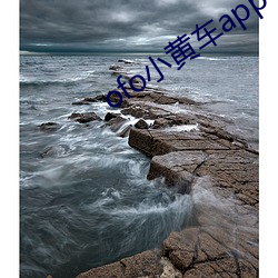 ofo小黃車app下載