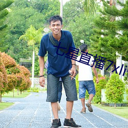 七星直播7xlive