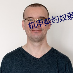 机甲契约奴隶 （杳无信息）