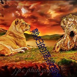 熟妇的荡欲视频 （焚巢捣穴��