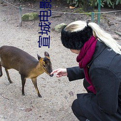 宣(宣)城电影院