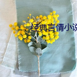 經典言情小說