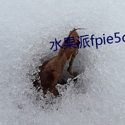 水果派fpie5ccmapp软件下载