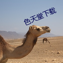色(sè)天堂下载
