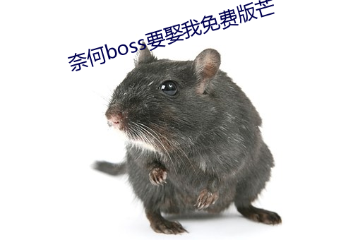 奈何boss要娶我免费版芒 （謷牙诘屈）