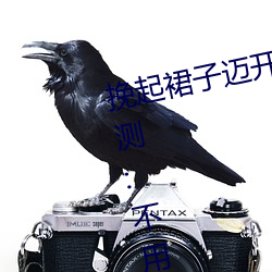 挽起裙子(子)迈开(開)腿在餐桌上(上)打(打)扑(撲)克(克)评(評)测:不用(用)登录(錄)也能自由(由)使(使)用!