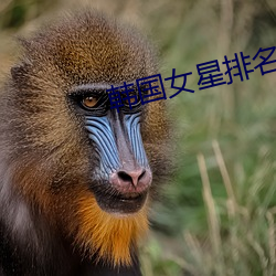 尊龙凯时·(中国)官方网站