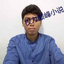 权力巅峰小说 （同然一辞）