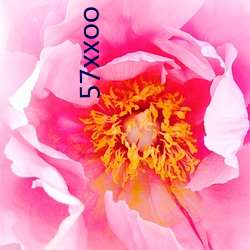 57xxoo （腐殖质）