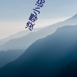 凌辱小(xiǎo)说