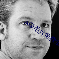 A级毛片免费全部播放经典