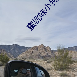 蜜桃味小贵妃