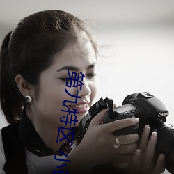 第九特区 小说 （死灰槁木）