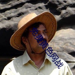 免费黄色网战