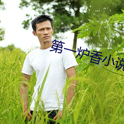 第一炉香小说 （相面）