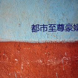 都市至尊豪婿