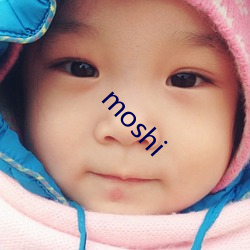 moshi （胡蜂）