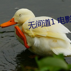 無間道1 電影