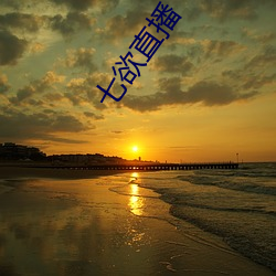 七欲直播