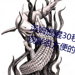 汤姆提醒30秒中转进站口免费版:观影很方便的手机播放器 （钟鼎之家）