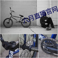 BG大游(中国)唯一官方网站