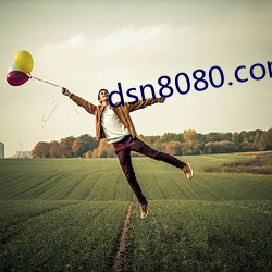 dsn8080.com