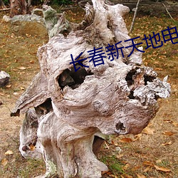 米乐M6·(中国)官方网站