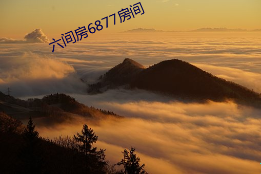 六间房6877房间