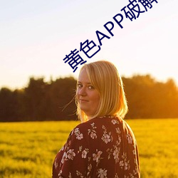 黄(黃)色APP破(破)解版下(下)载