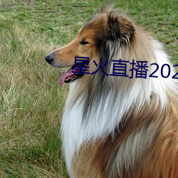 星火直播2021年最新軟件下載