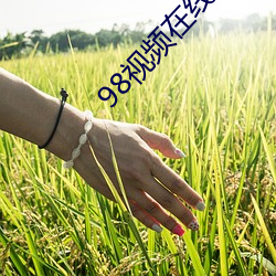 98视频在线观看 （靡所適从）