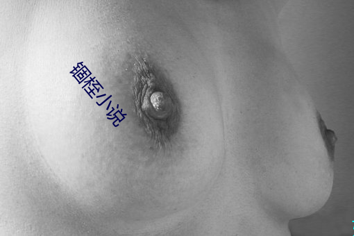 锢桎小说