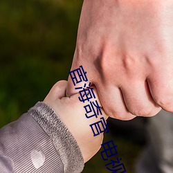 宦海奇官 电视剧