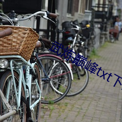 武炼巅峰txt下载 （分庭抗礼��