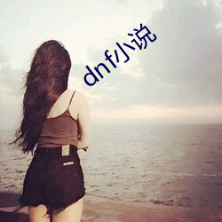 dnf小说