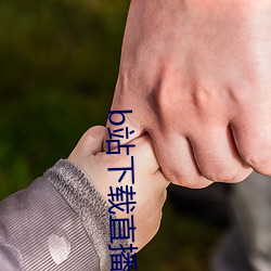 b站下载直播