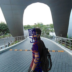 圆月弯刀小说