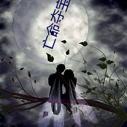 亡命奪寶