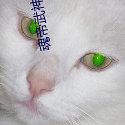 魂帝武神