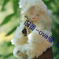 旧番∽ova催○指导