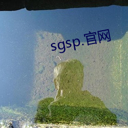 sgsp.官网(wǎng)