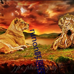 九游会登录j9入口 - 中国官方网站 | 真人游戏第一品牌